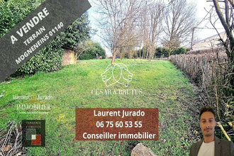  terrain mogneneins 01140