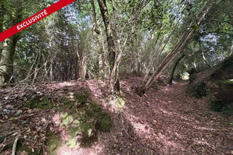  terrain molac 56230