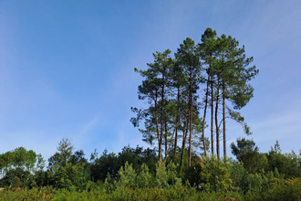  terrain moliets-et-maa 40660