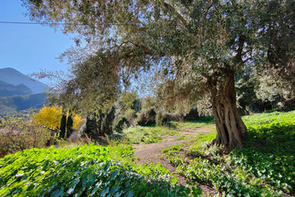  terrain moncale 20214