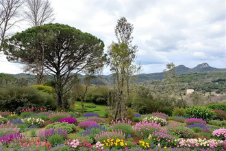  terrain monoblet 30170