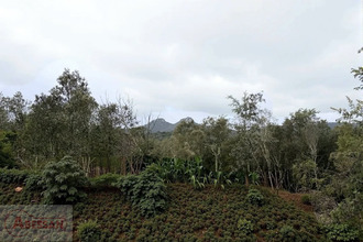  terrain monoblet 30170