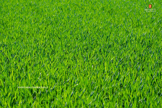 terrain moreac 56500