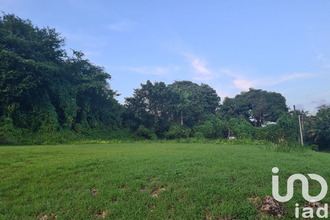  terrain morne-a-l-eau 97111