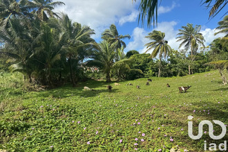  terrain morne-a-l-eau 97111