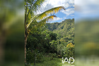  terrain morne-vert 97226