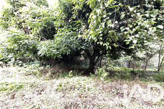  terrain morne-vert 97226