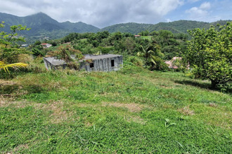  terrain morne-vert 97226