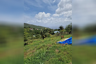  terrain morne-vert 97226