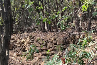  terrain moureze 34800