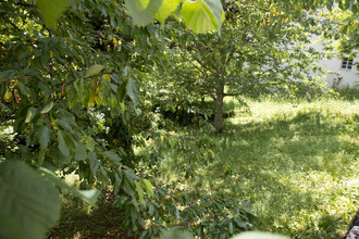  terrain mouthier-haute-pierre 25920