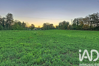  terrain mtagnat 01250