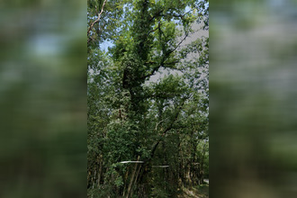  terrain mtastruc 47380