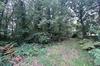  terrain mtauban-de-bretagne 35360