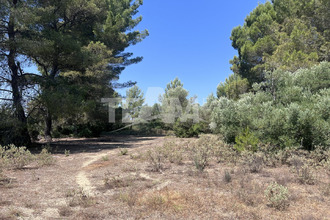  terrain mtbazin 34560