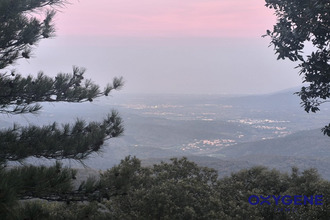  terrain mtbolo 66110