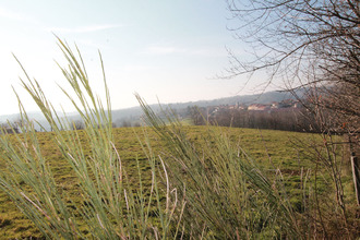  terrain mtchal 42360