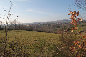  terrain mtchal 42360