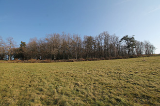  terrain mtchal 42360