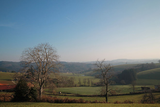  terrain mtchal 42360