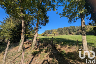  terrain mtchal 42360