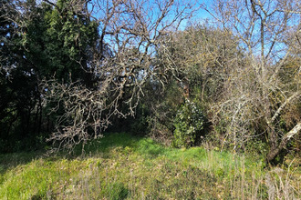  terrain mtelimar 26200