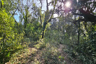  terrain mtelimar 26200