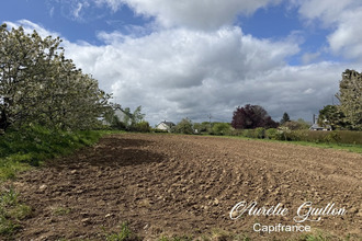  terrain mtertelot 56800