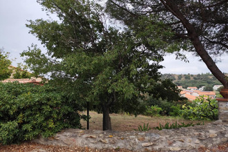  terrain mtesquieu-des-alberes 66740