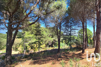  terrain mtesquieu-des-alberes 66740