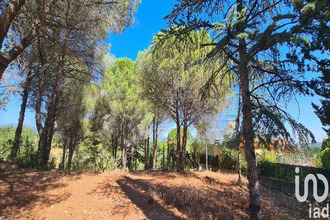  terrain mtesquieu-des-alberes 66740