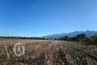  terrain mtesquieu-des-alberes 66740