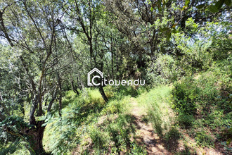  terrain mtesquieu-des-alberes 66740