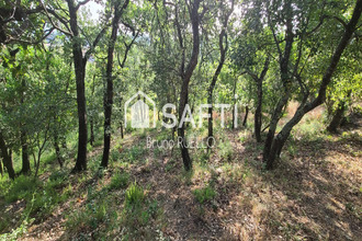  terrain mtesquieu-des-alberes 66740