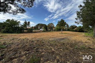  terrain mtesquieu-des-alberes 66740