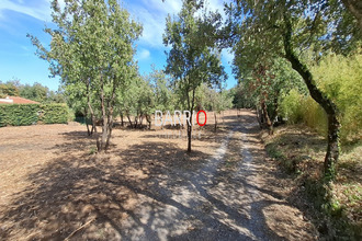  terrain mtesquieu-des-alberes 66740