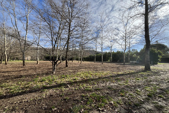  terrain mtesquieu-volvestre 31310