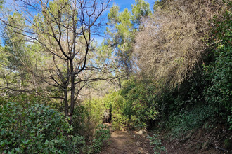  terrain mtferrier-sur-lez 34980