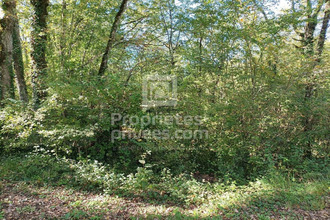  terrain mtgesty 46150