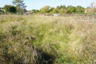  terrain mthou-sur-cher 41400