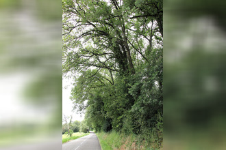  terrain mtjoire 31380