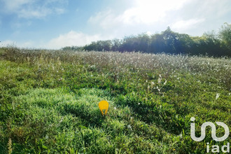  terrain mtoire-sur-le-loir 41800