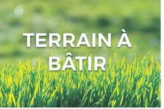  terrain mtolivet 77320