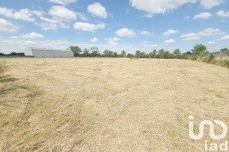  terrain mtournais 85700