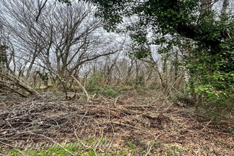  terrain mtpon-menesterol 24700