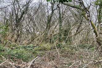  terrain mtpon-menesterol 24700