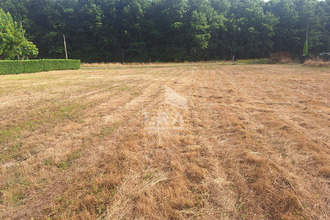  terrain mtpon-menesterol 24700