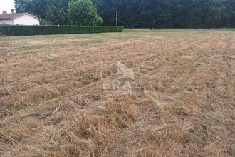  terrain mtpon-menesterol 24700