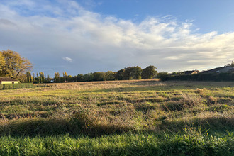  terrain mtpon-menesterol 24700