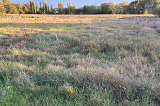  terrain mtpon-menesterol 24700